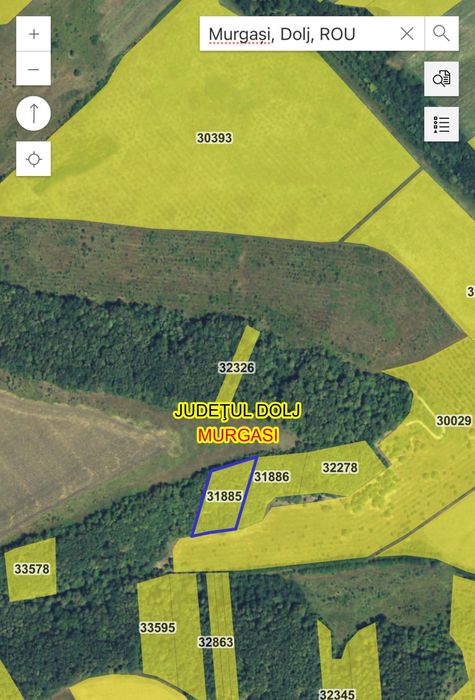 Vand padure Murgasi, jud Dolj