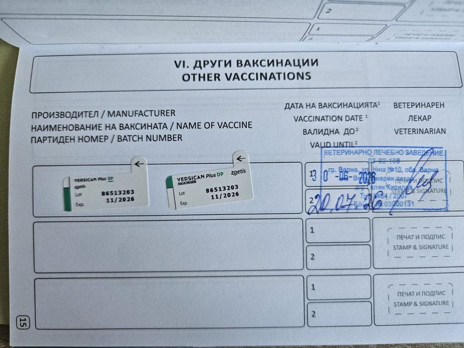 Уникални йоркширски териери