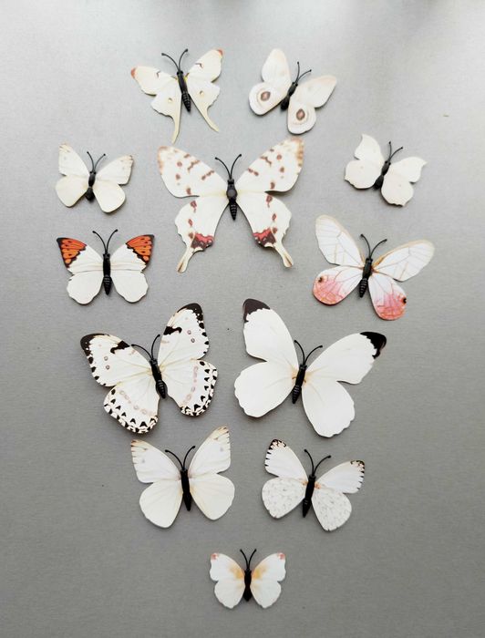 Пеперуди на магнит.