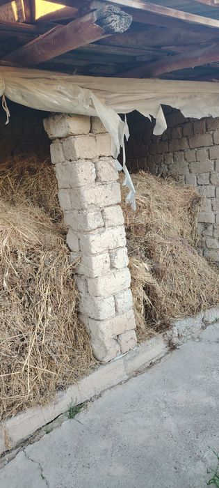 Hashe sotiladi kelishtirib bervoramiz