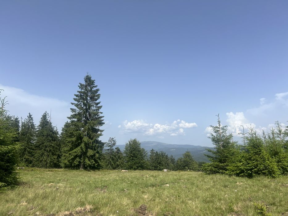 Teren cu priveliste spre muntele Ousoru’