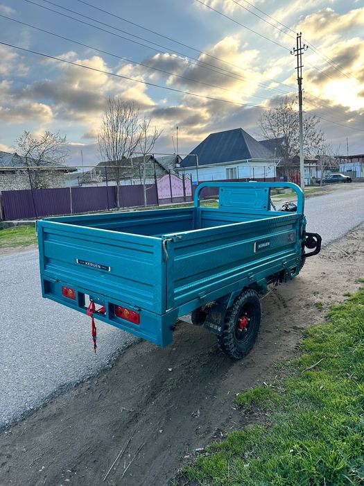 Муравей электрический