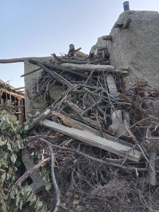 У́тин сотилади курук залдори