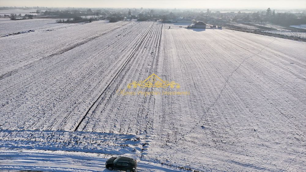 Teren Trestieni Ulmi Giurgiu pt casa