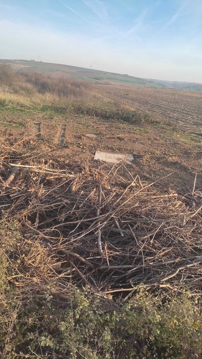 Vand URGENT  teren La strandul din Tasnad