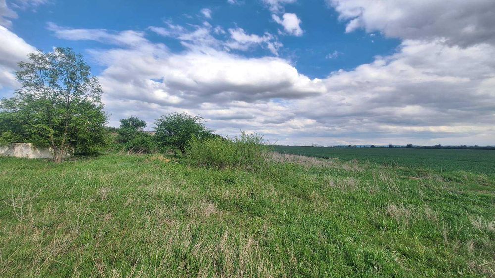 Продава се Парцел в с. Мусачево, Област София-област - 18185 кв.м за 13 €/кв.м - Снимка #3