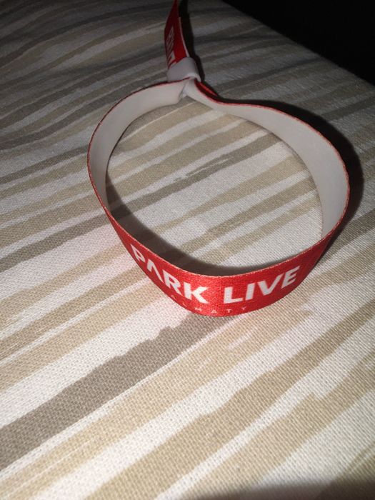Билет на Park Live (3 день, BLOODYWOOD и Offspring)
