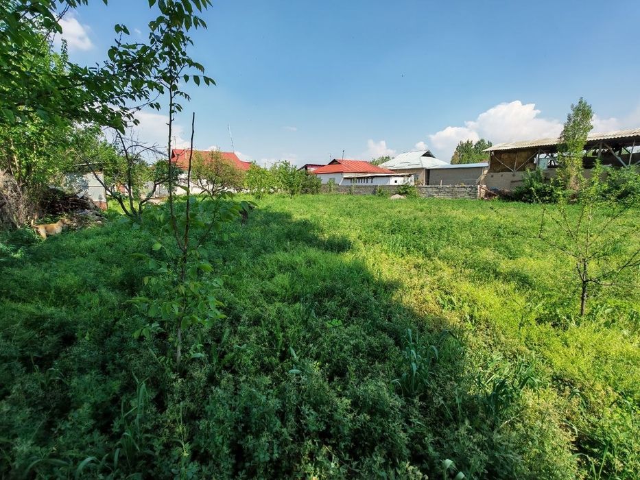 Продаётся дом, большой участок