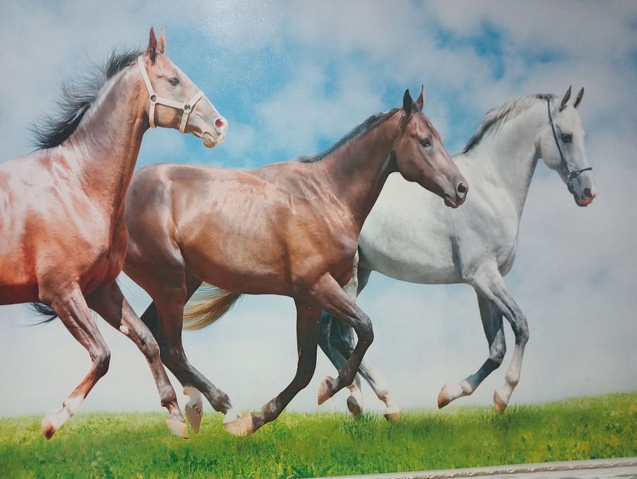 Продам картину...