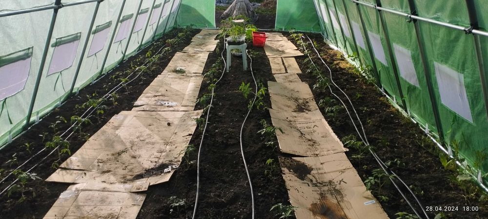 продавам 3 оранжерии 80кв.м.