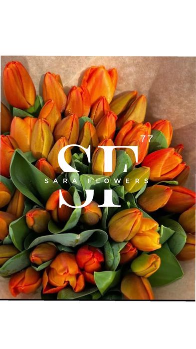 Оптовая продажа тюльпанов