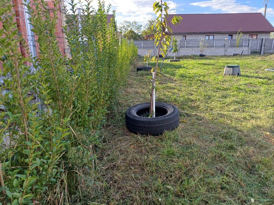 Vand Teren Intravilan  in Sanmihaiu German
