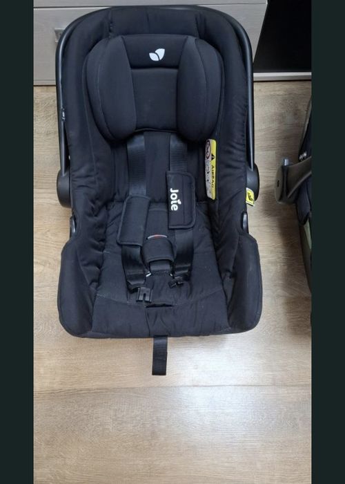 Ofer scoici Joie gratuit