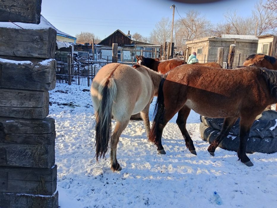 Продам байтал находится в рабочем посёлке