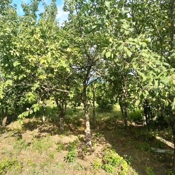 Продаётся частный дом