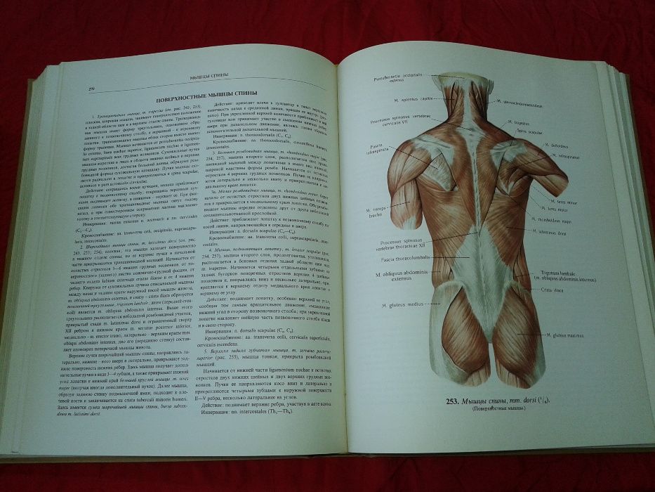Атласи по анатомия на човека Синелников атлас по медицина стоматология