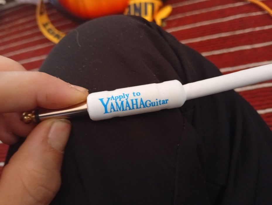 продам электрогитару с комбо усилителем, полный комплект, сел играй