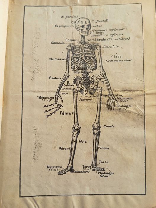 Пълен френско-български речник - Н. Марков, 1906