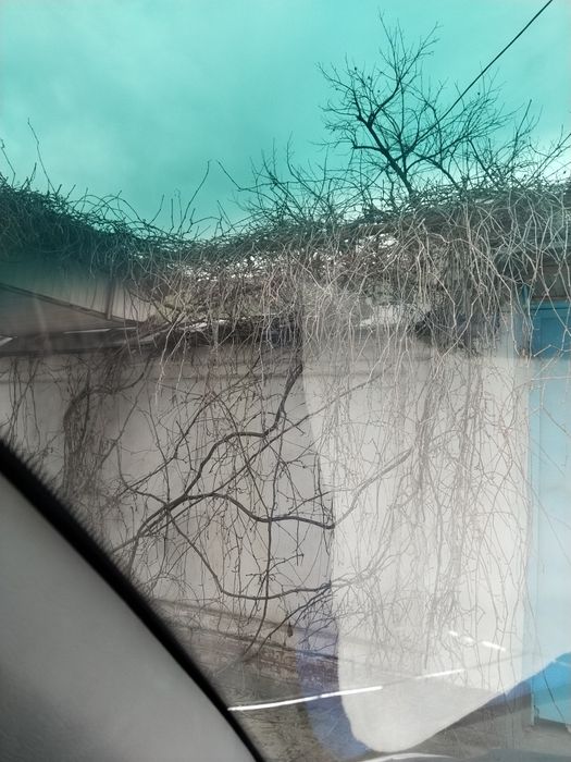 Продам. Дом. ( Старый) Земли 5,8. СПУТНИК. Дорого