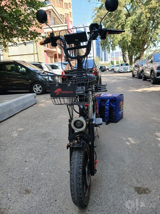 Drongo monstr V5