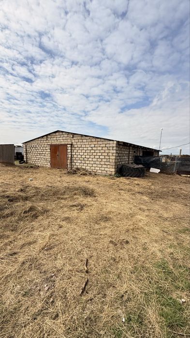 Продам хозяйство