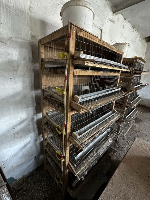 Клетки для перепелов