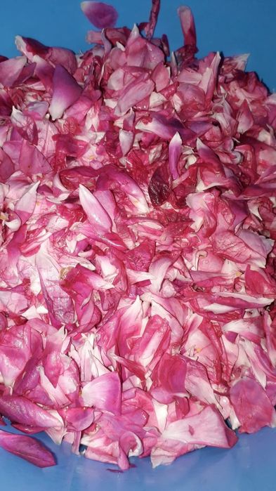 Dulceață de trandafir