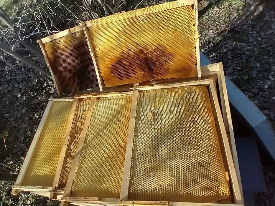 Rame stupi 1/1 cladite