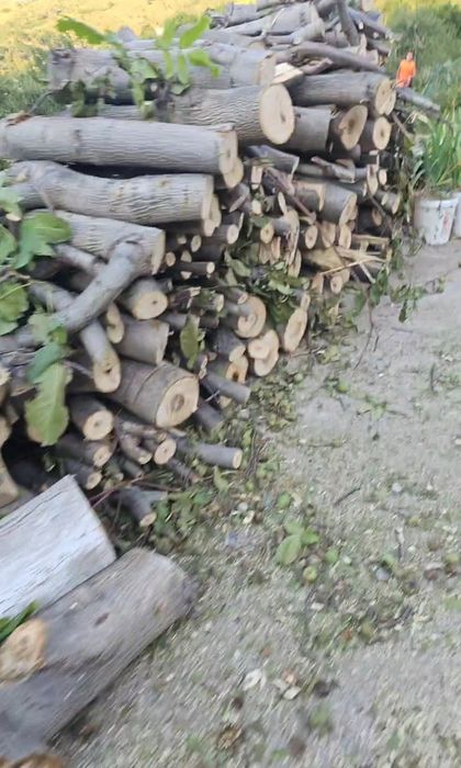 Дрова бесплатно орех отдам