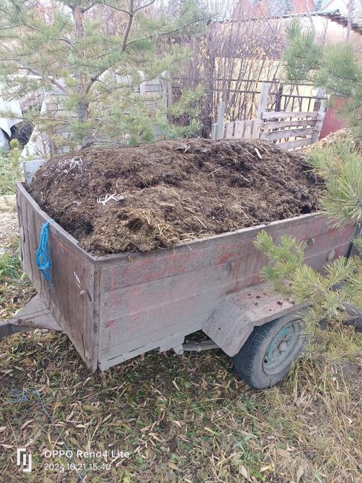 Свежий навоз конины перегной