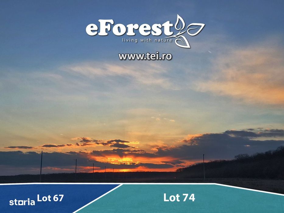 Profită acum de oferta de Paște! Langa padure. zona verde - eForest