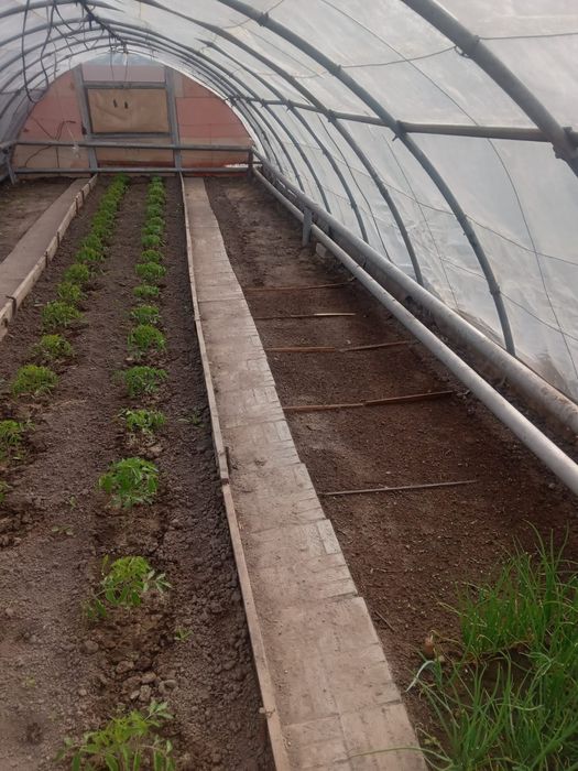 Продам теплицу для цветов