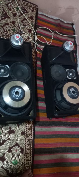 Sredni kalonka sotiladi