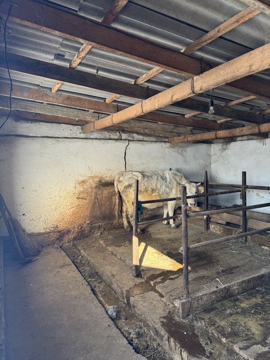 Үй сатылады кең аумағымен