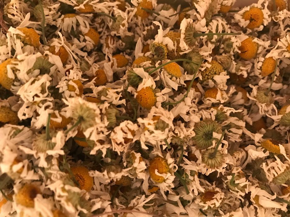 Ромашка аптечная,  сушеная