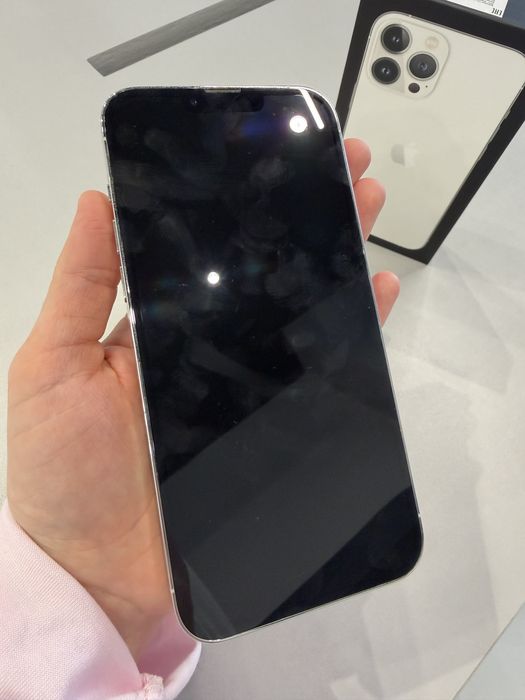 iPhone 13 Pro Max 256 Silver