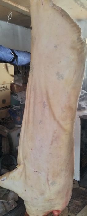 Продам свинину .