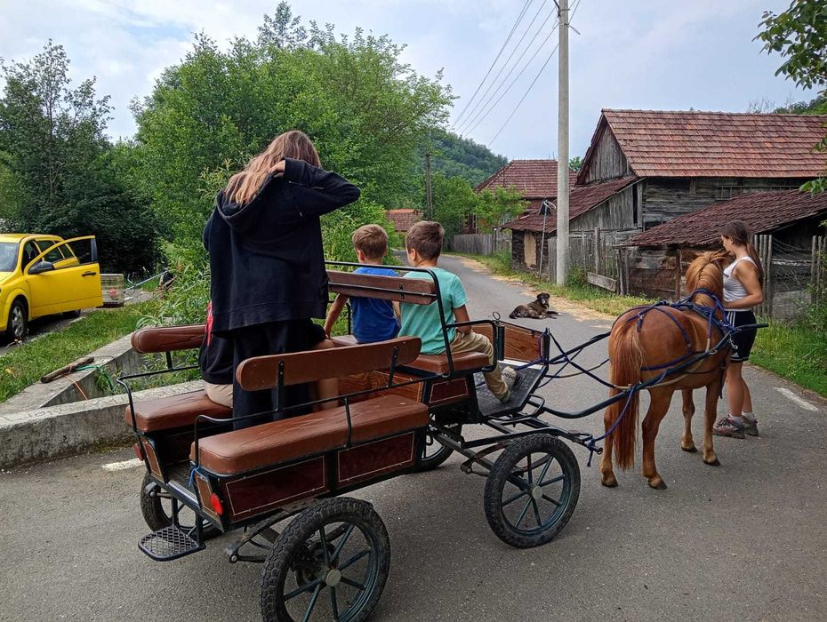 Vand ponei bland si jucaus