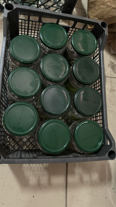 Продам банки с крышкой, 0,8 л