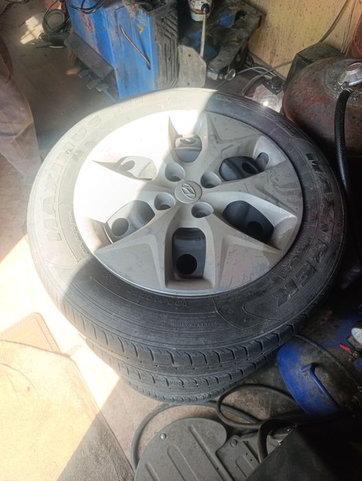 Диски железный вместе с ризиной