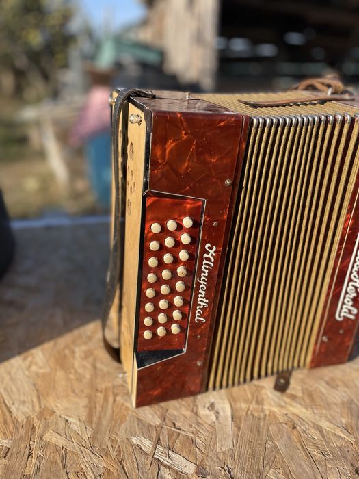 Acordeon vintige