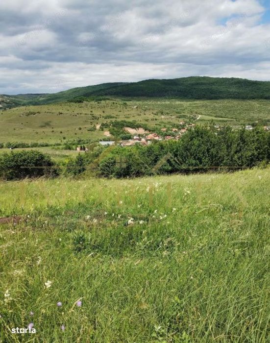 Teren intravilan 2.200 mp | Radaia – Baciu | Panorama superba