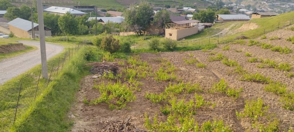 Yer sotiladi Parkent tumanida