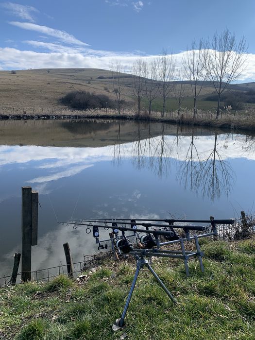 Vand rodpod delphin tpx3 silver