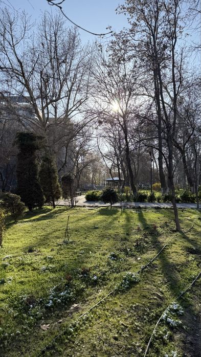 3/4/4 Дархан-Своя