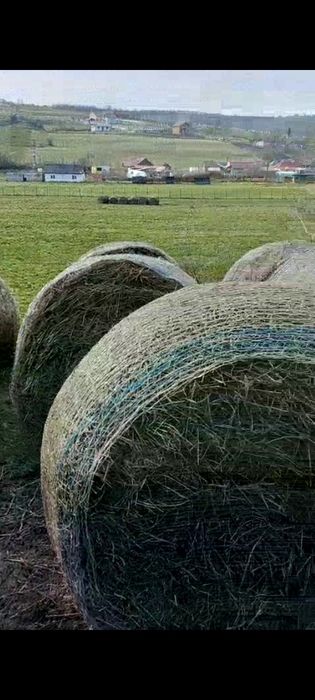 Vând baloți lucerna