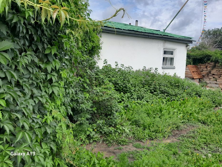 Отдых в Каркаралинске