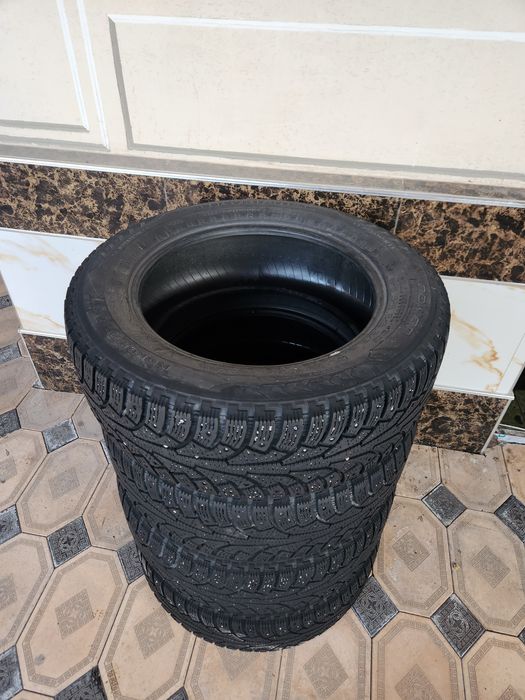 Болоны Nokian r17