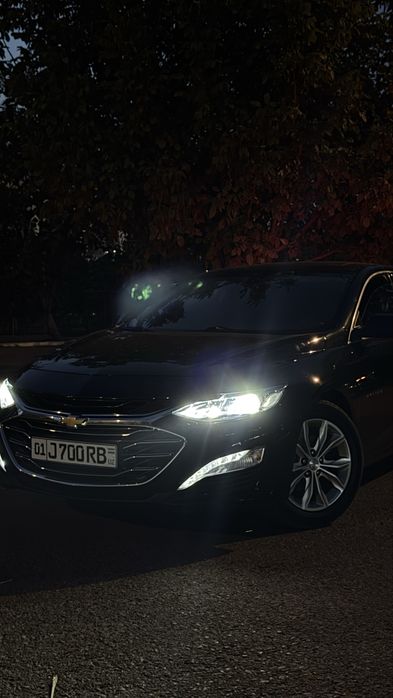 Malibu 2 premier
