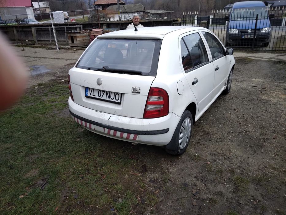 Vand skoda fabia 1